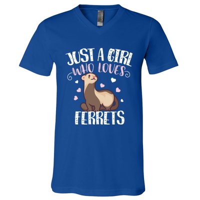 Just A Girl Who Loves Ferrets Cool Gift V-Neck T-Shirt