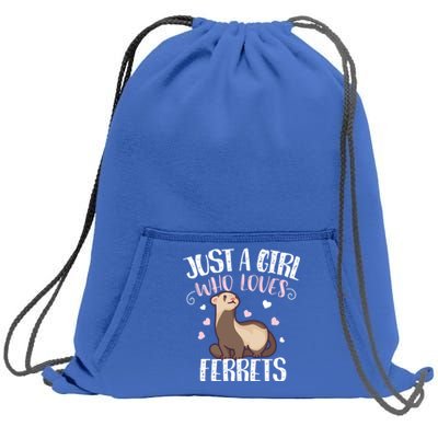 Just A Girl Who Loves Ferrets Cool Gift Sweatshirt Cinch Pack Bag