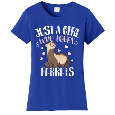 Just A Girl Who Loves Ferrets Cool Gift Women's T-Shirt