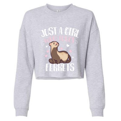 Just A Girl Who Loves Ferrets Cool Gift Cropped Pullover Crew