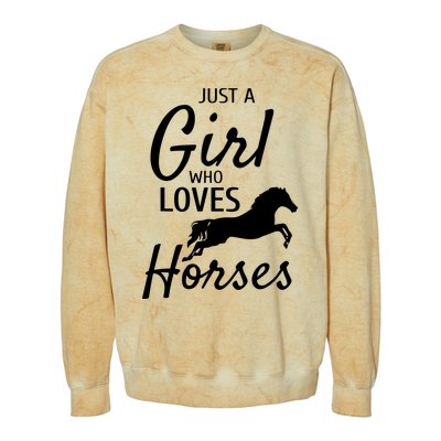 Just A Girl Who Loves Horses Riding Gifts Horse Colorblast Crewneck Sweatshirt