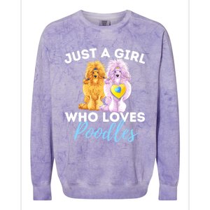 Just A Girl Who Loves Poodles Gift Funny Poodle Dog Lover Great Gift Colorblast Crewneck Sweatshirt