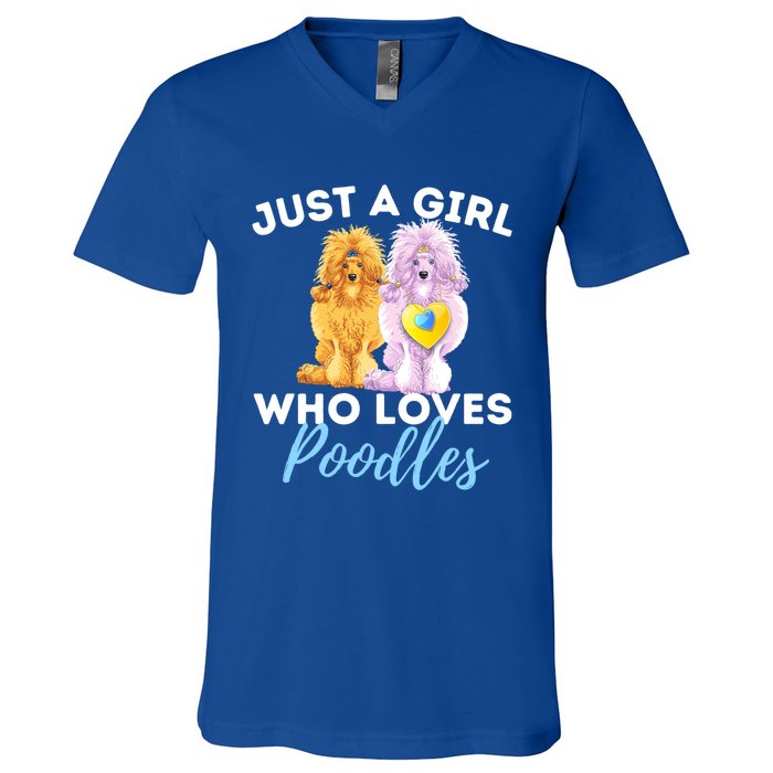 Just A Girl Who Loves Poodles Gift Funny Poodle Dog Lover Great Gift V-Neck T-Shirt