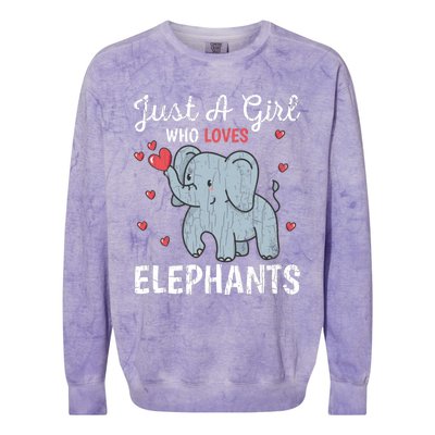 Just A Girl Who Loves Elephants Funny Cute Wo Graphic Colorblast Crewneck Sweatshirt