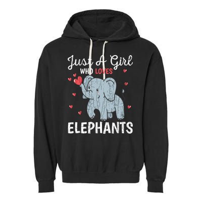 Just A Girl Who Loves Elephants Funny Cute Wo Graphic Garment-Dyed Fleece Hoodie