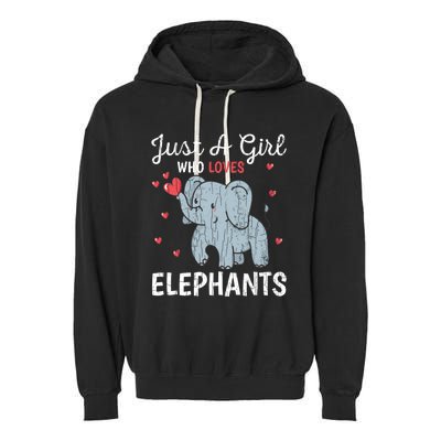 Just A Girl Who Loves Elephants Funny Cute Wo Graphic Garment-Dyed Fleece Hoodie