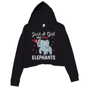 Just A Girl Who Loves Elephants Funny Cute Wo Graphic Crop Fleece Hoodie