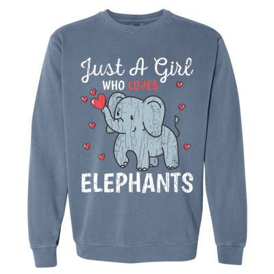 Just A Girl Who Loves Elephants Funny Cute Wo Graphic Garment-Dyed Sweatshirt