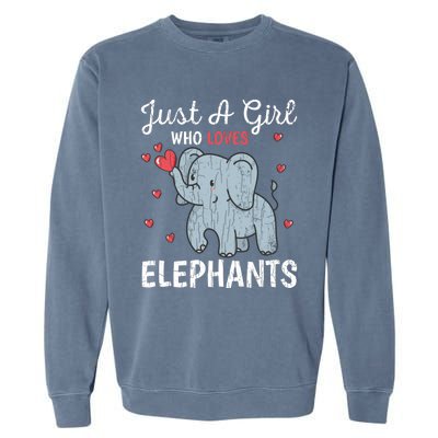 Just A Girl Who Loves Elephants Funny Cute Wo Graphic Garment-Dyed Sweatshirt