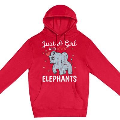 Just A Girl Who Loves Elephants Funny Cute Wo Graphic Premium Pullover Hoodie