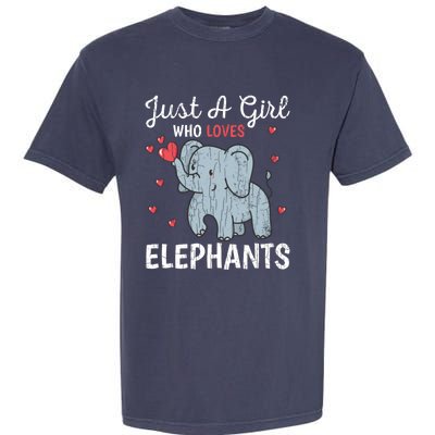 Just A Girl Who Loves Elephants Funny Cute Wo Graphic Garment-Dyed Heavyweight T-Shirt