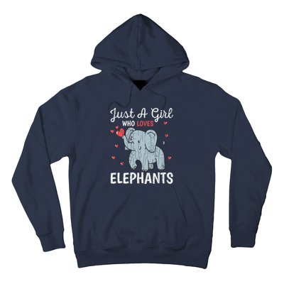 Just A Girl Who Loves Elephants Funny Cute Wo Graphic Hoodie