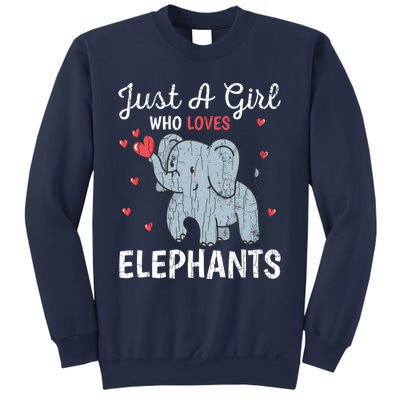 Just A Girl Who Loves Elephants Funny Cute Wo Graphic Sweatshirt