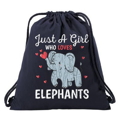 Just A Girl Who Loves Elephants Funny Cute Wo Graphic Drawstring Bag