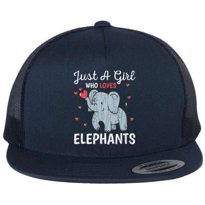 Just A Girl Who Loves Elephants Funny Cute Wo Graphic Flatbill Hat