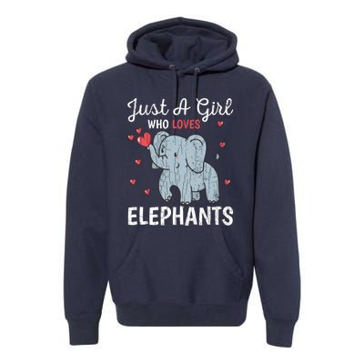 Just A Girl Who Loves Elephants Funny Cute Wo Graphic Premium Hoodie