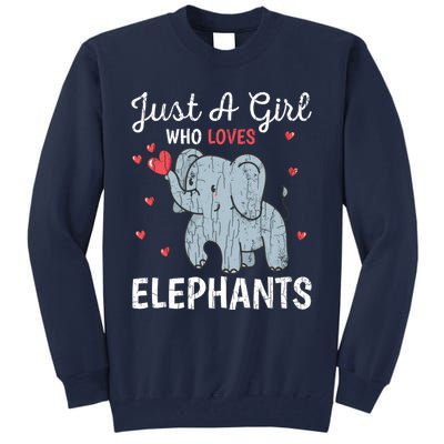 Just A Girl Who Loves Elephants Funny Cute Wo Graphic Tall Sweatshirt