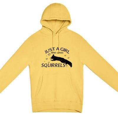 Just A Girl Who Loves Squirrels Premium Pullover Hoodie