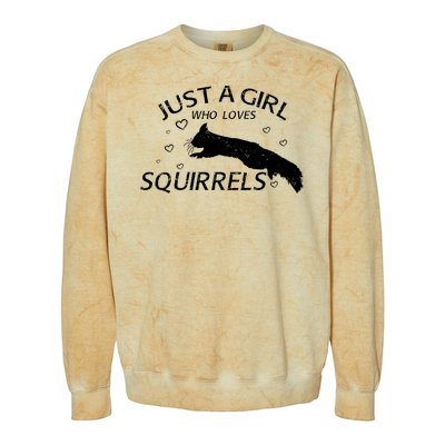 Just A Girl Who Loves Squirrels Colorblast Crewneck Sweatshirt