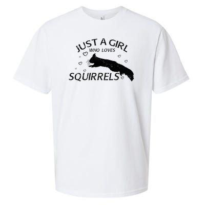 Just A Girl Who Loves Squirrels Sueded Cloud Jersey T-Shirt