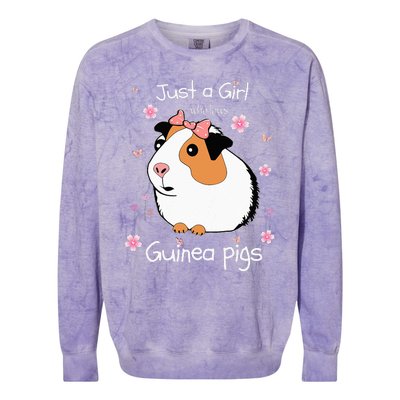 Just A Girl Who Loves Guinea Pigs Cute Pets Lover Gift Colorblast Crewneck Sweatshirt