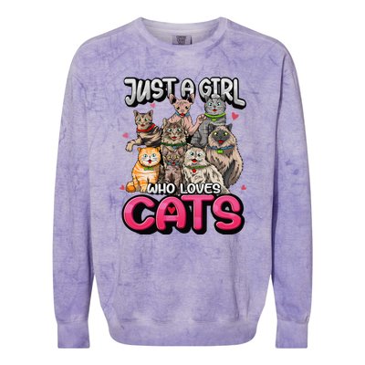 Just A Girl Who Loves Cats Cute Cat Lover Colorblast Crewneck Sweatshirt