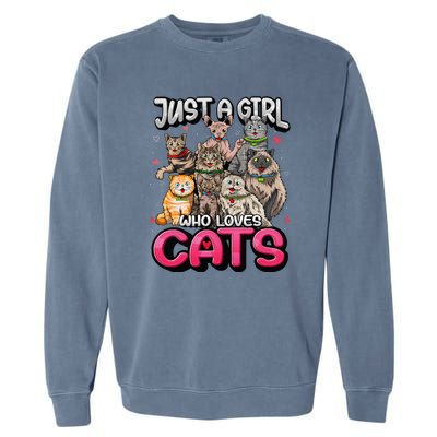 Just A Girl Who Loves Cats Cute Cat Lover Garment-Dyed Sweatshirt