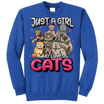 Just A Girl Who Loves Cats Cute Cat Lover Sweatshirt