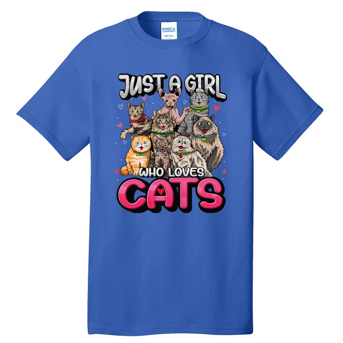 Just A Girl Who Loves Cats Cute Cat Lover Tall T-Shirt