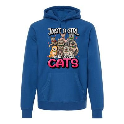 Just A Girl Who Loves Cats Cute Cat Lover Premium Hoodie