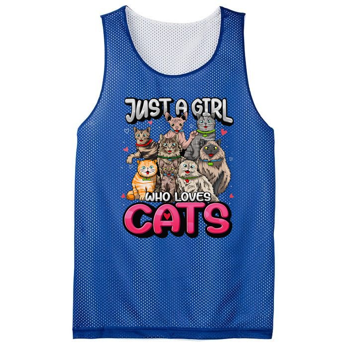 Just A Girl Who Loves Cats Cute Cat Lover Mesh Reversible Basketball Jersey Tank