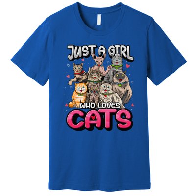 Just A Girl Who Loves Cats Cute Cat Lover Premium T-Shirt