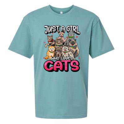 Just A Girl Who Loves Cats Cute Cat Lover Sueded Cloud Jersey T-Shirt