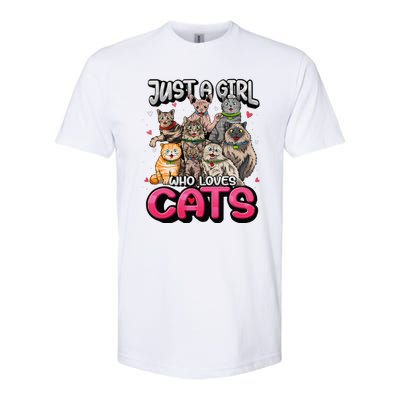 Just A Girl Who Loves Cats Cute Cat Lover Softstyle CVC T-Shirt