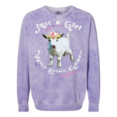 Just A Girl Who Loves Goats | Goat Farm Crazy Lady Gift Colorblast Crewneck Sweatshirt