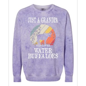 Just A Grandpa Who Loves Water Buffaloes Cool Gift Colorblast Crewneck Sweatshirt