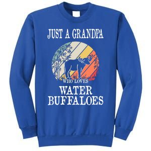 Just A Grandpa Who Loves Water Buffaloes Cool Gift Sweatshirt