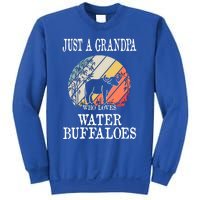 Just A Grandpa Who Loves Water Buffaloes Cool Gift Sweatshirt