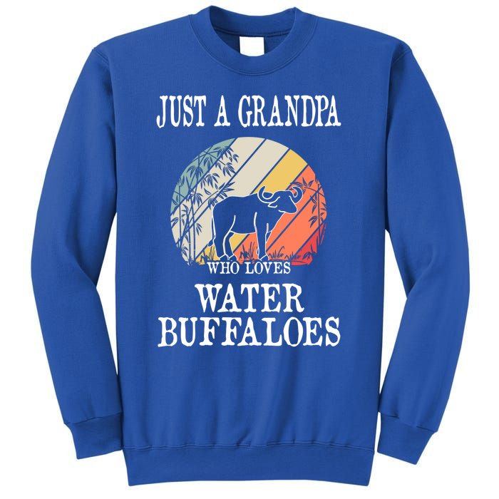 Just A Grandpa Who Loves Water Buffaloes Cool Gift Sweatshirt