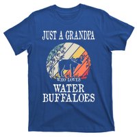 Just A Grandpa Who Loves Water Buffaloes Cool Gift T-Shirt