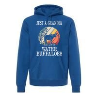 Just A Grandpa Who Loves Water Buffaloes Cool Gift Premium Hoodie