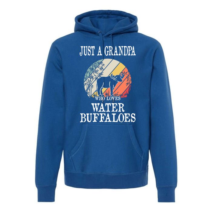 Just A Grandpa Who Loves Water Buffaloes Cool Gift Premium Hoodie