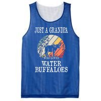 Just A Grandpa Who Loves Water Buffaloes Cool Gift Mesh Reversible Basketball Jersey Tank