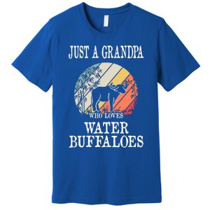 Just A Grandpa Who Loves Water Buffaloes Cool Gift Premium T-Shirt