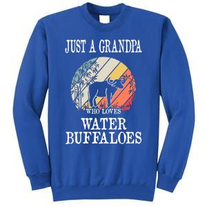 Just A Grandpa Who Loves Water Buffaloes Cool Gift Tall Sweatshirt