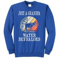 Just A Grandpa Who Loves Water Buffaloes Cool Gift Tall Sweatshirt