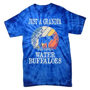 Just A Grandpa Who Loves Water Buffaloes Cool Gift Tie-Dye T-Shirt