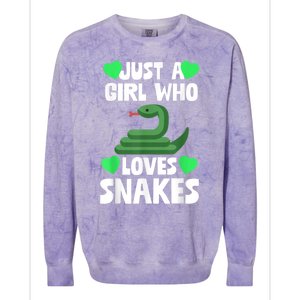 Just A Girl Who Loves Snakes Snake Lover Gift Colorblast Crewneck Sweatshirt