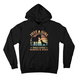 Just A Girl Who Loves Horses And Dogs Hoodie