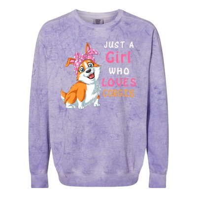 Just A Girl Who Loves Corgis Colorblast Crewneck Sweatshirt